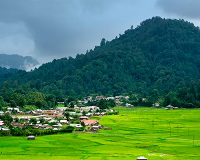 Ziro