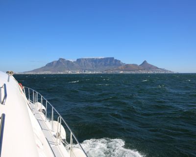 Big 5 Marine Cruise